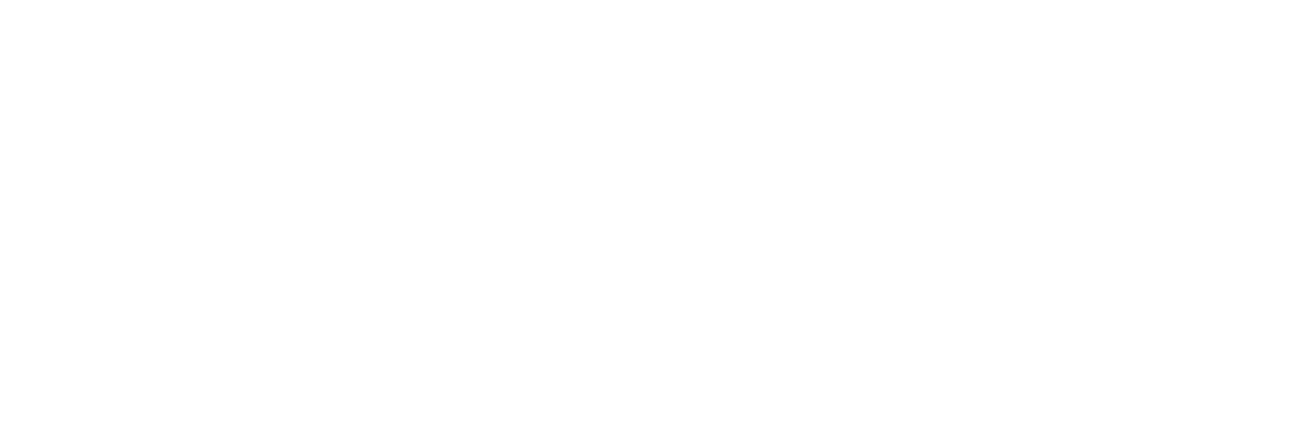 Activitly